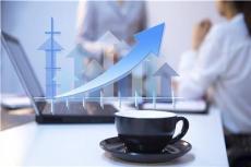 经济信息咨询 商业决策的智慧引擎